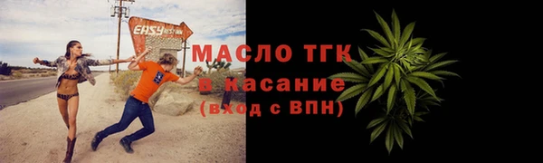 прущие грибы Верхний Тагил